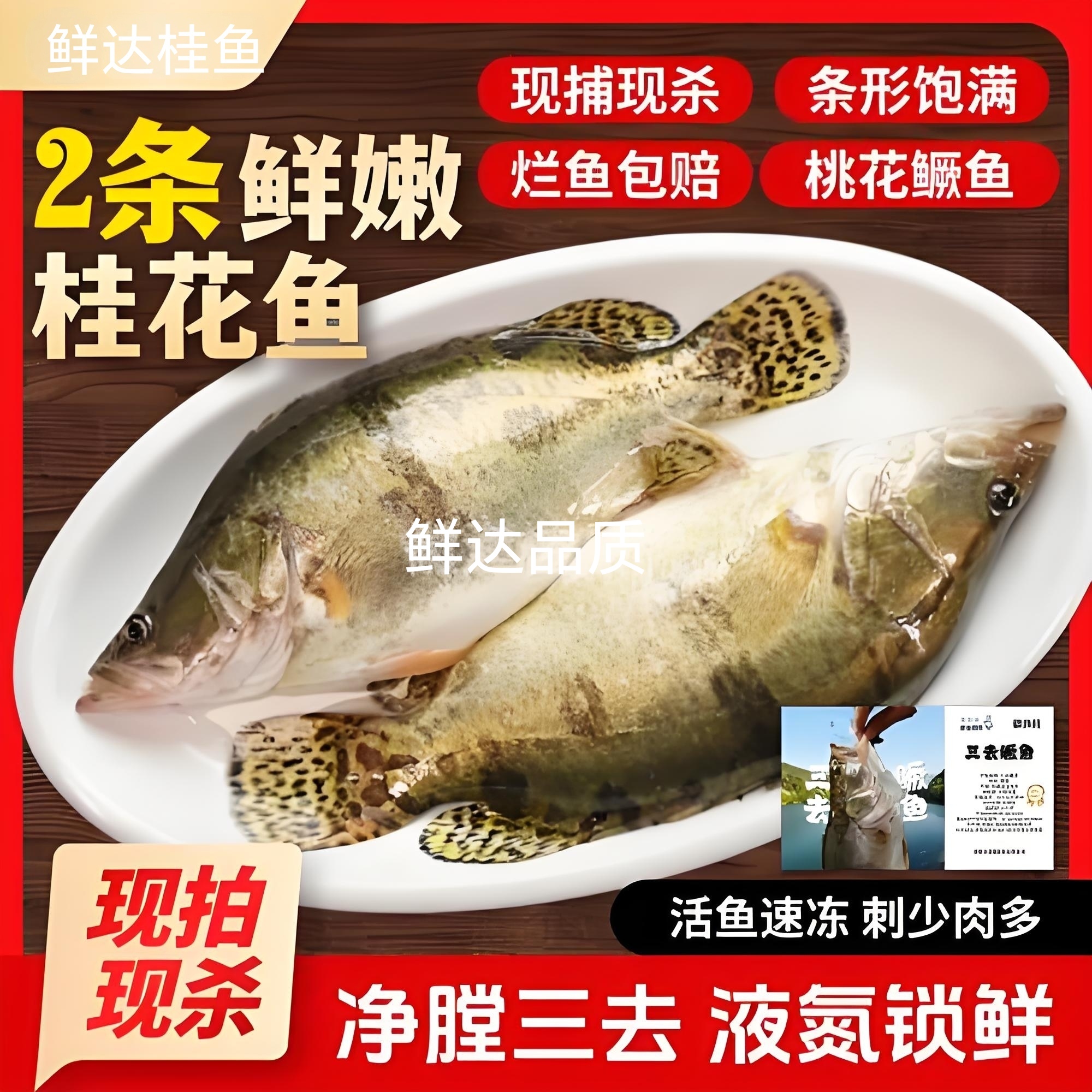三去桂鱼